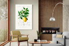 Pixalot Botanical Lemon