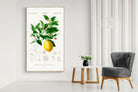 Pixalot Botanical Lemon