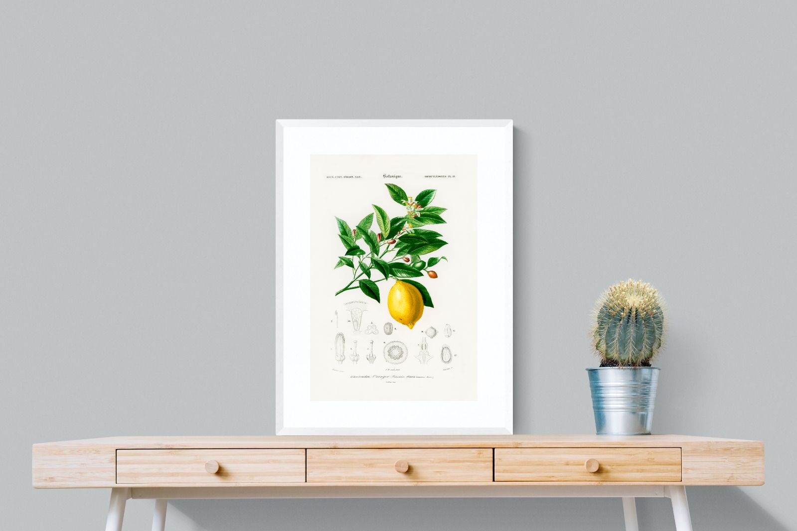 Pixalot Botanical Lemon
