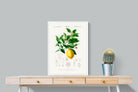 Pixalot Botanical Lemon