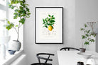 Pixalot Botanical Lemon