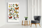 Pixalot Botanical Lepidoptera