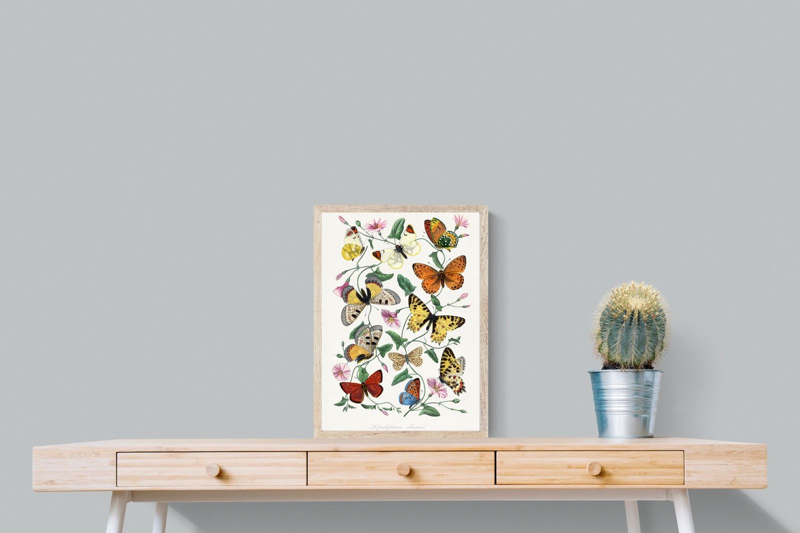 Pixalot Botanical Lepidoptera