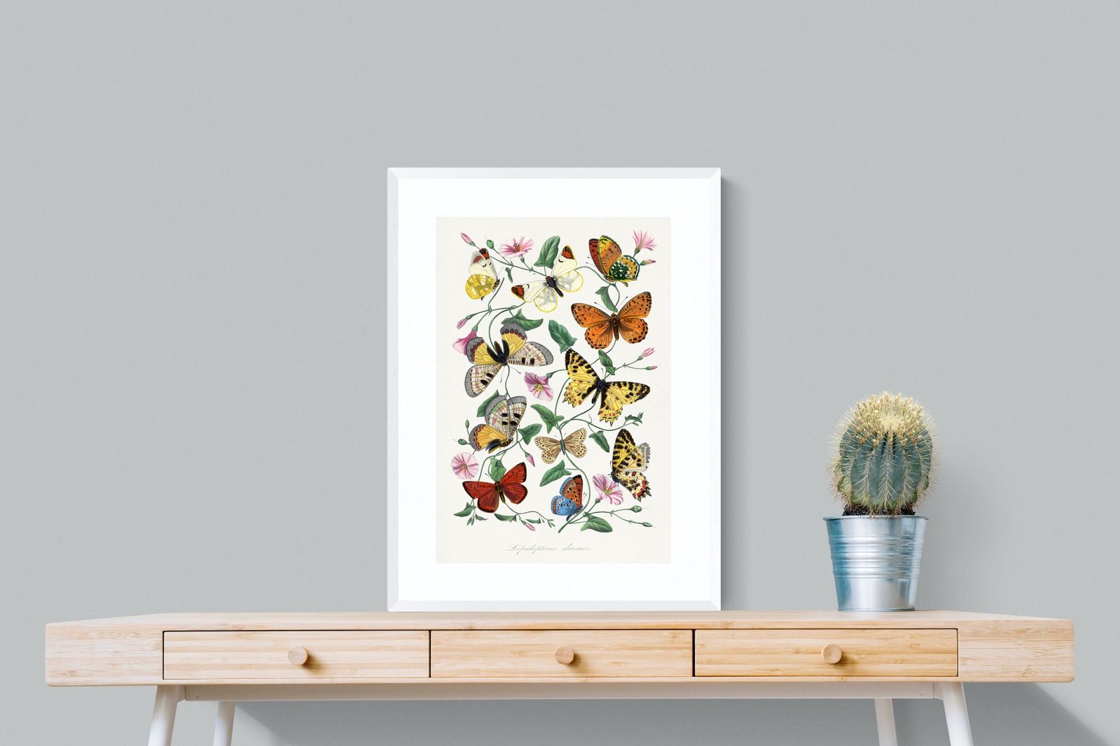 Pixalot Botanical Lepidoptera