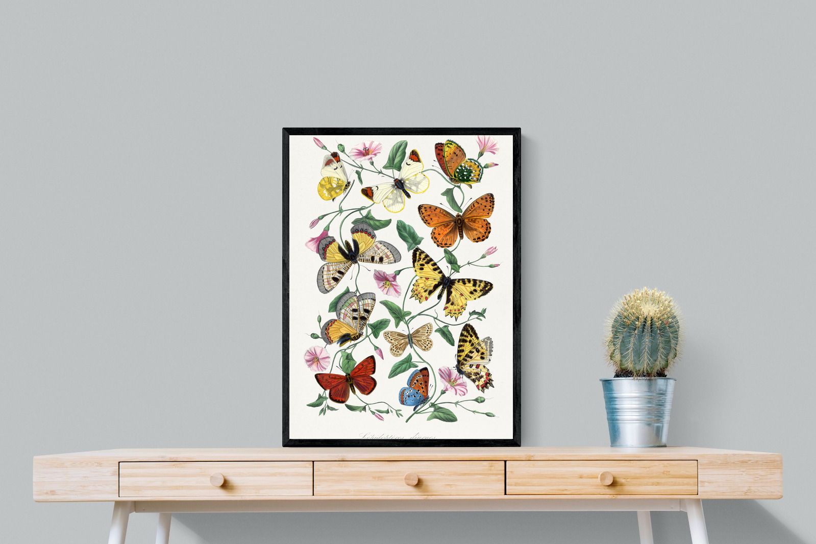 Pixalot Botanical Lepidoptera