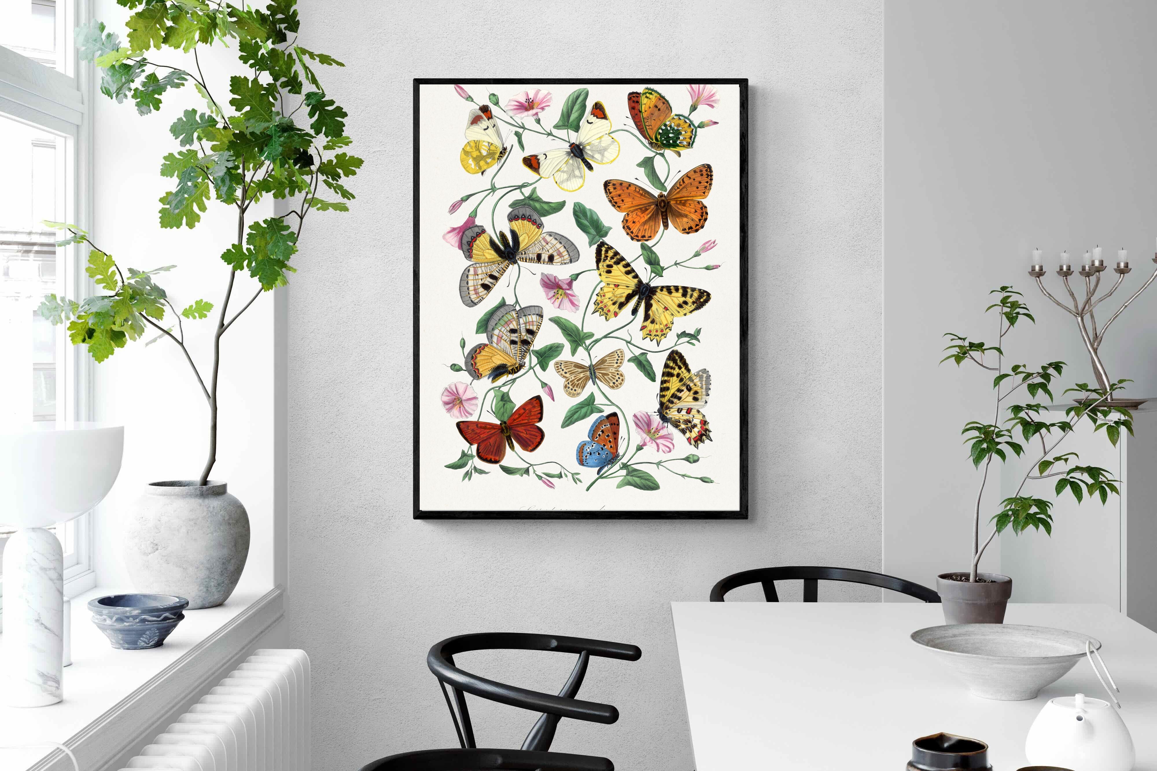 Pixalot Botanical Lepidoptera