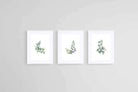 Botanical Set-Wall_Art-60 x 80cm (x3)-Framed Print-White-Pixalot