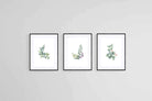Botanical Set-Wall_Art-60 x 80cm (x3)-Framed Print-Black-Pixalot