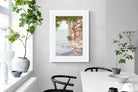 Pixalot Bougainvillea Terrace