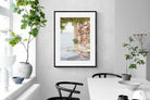 Pixalot Bougainvillea Terrace