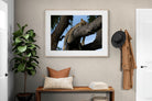 Pixalot ® Branch Lounge