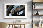 Pixalot ® Branch Lounge