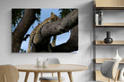 Pixalot ® Branch Lounge