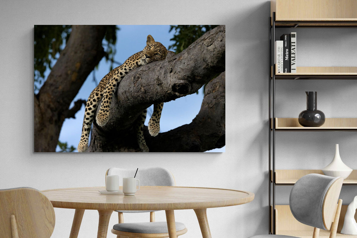 Pixalot ® Branch Lounge