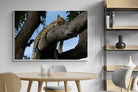 Pixalot ® Branch Lounge