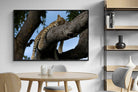 Pixalot ® Branch Lounge