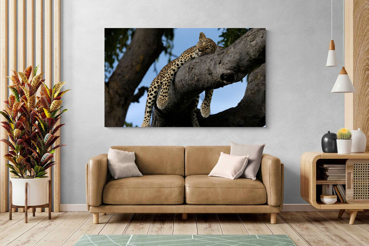 Pixalot ® Branch Lounge