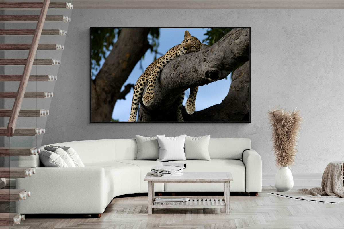 Pixalot ® Branch Lounge