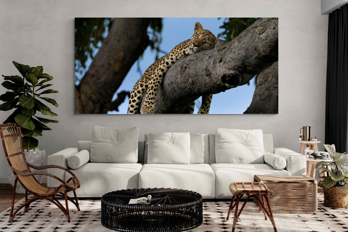 Pixalot ® Branch Lounge