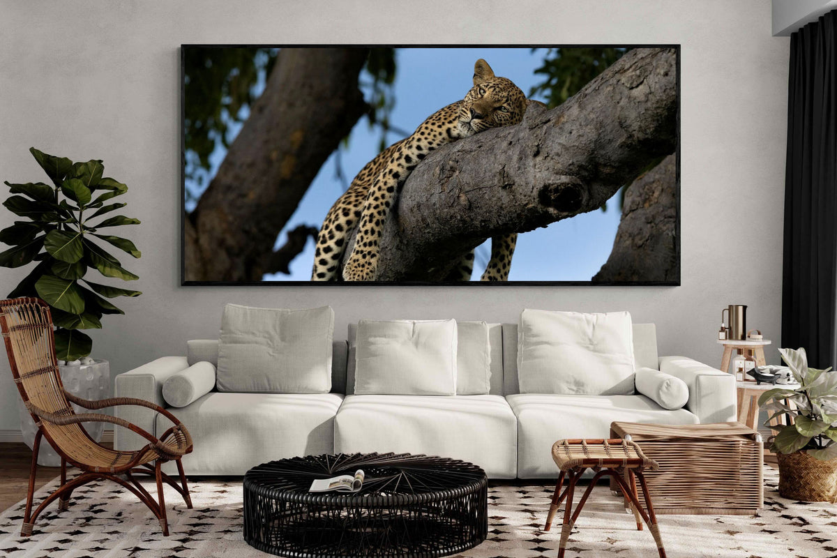 Pixalot ® Branch Lounge