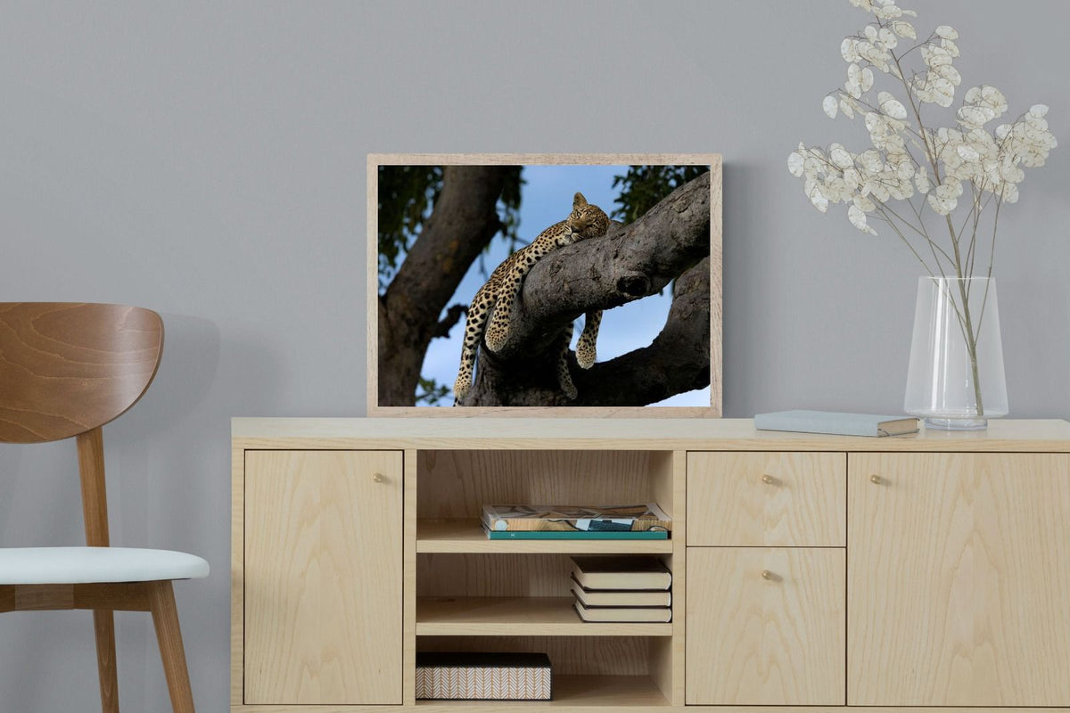 Pixalot ® Branch Lounge
