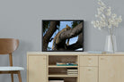 Pixalot ® Branch Lounge