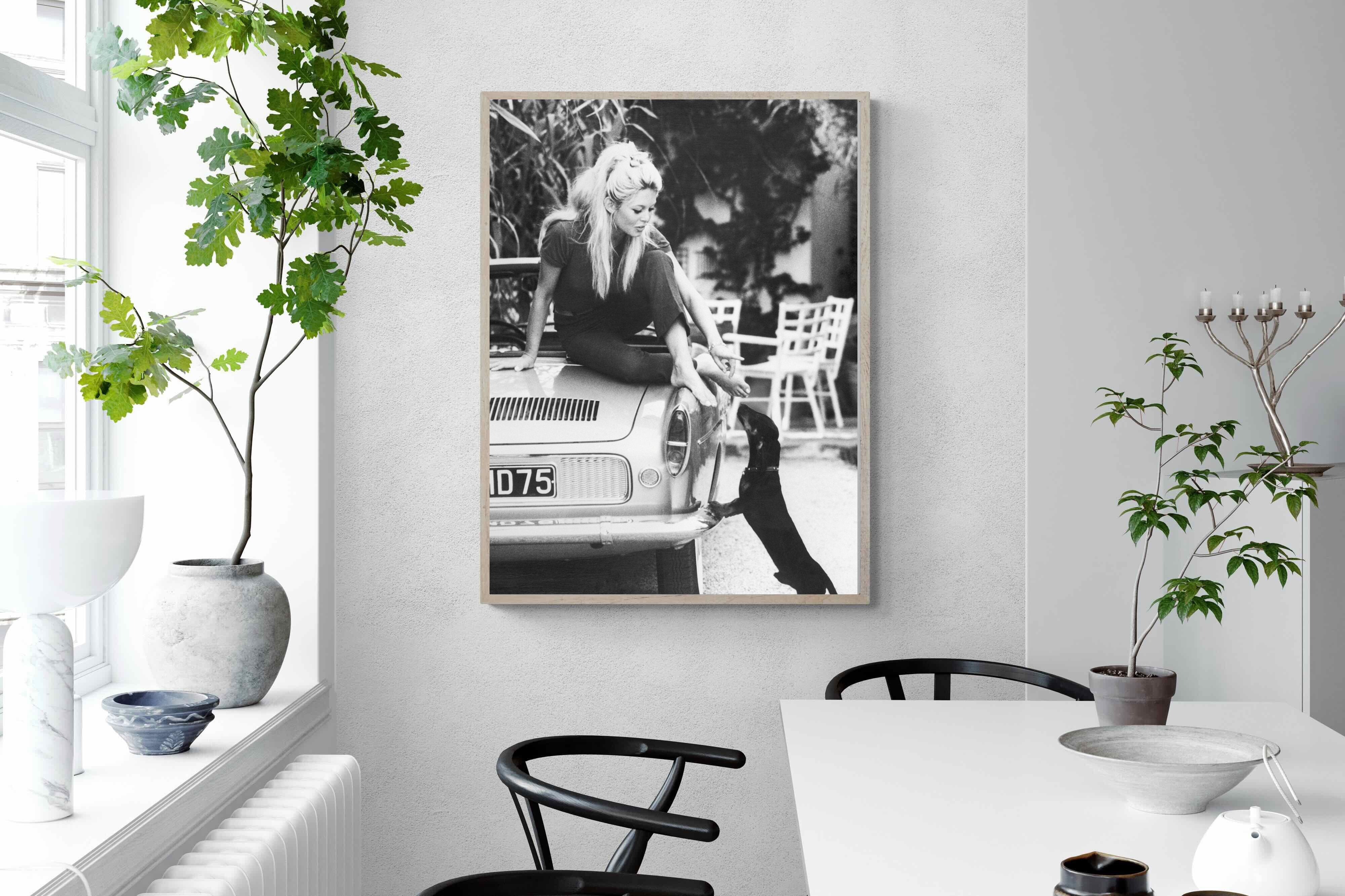 Pixalot Brigitte & The Dachshund