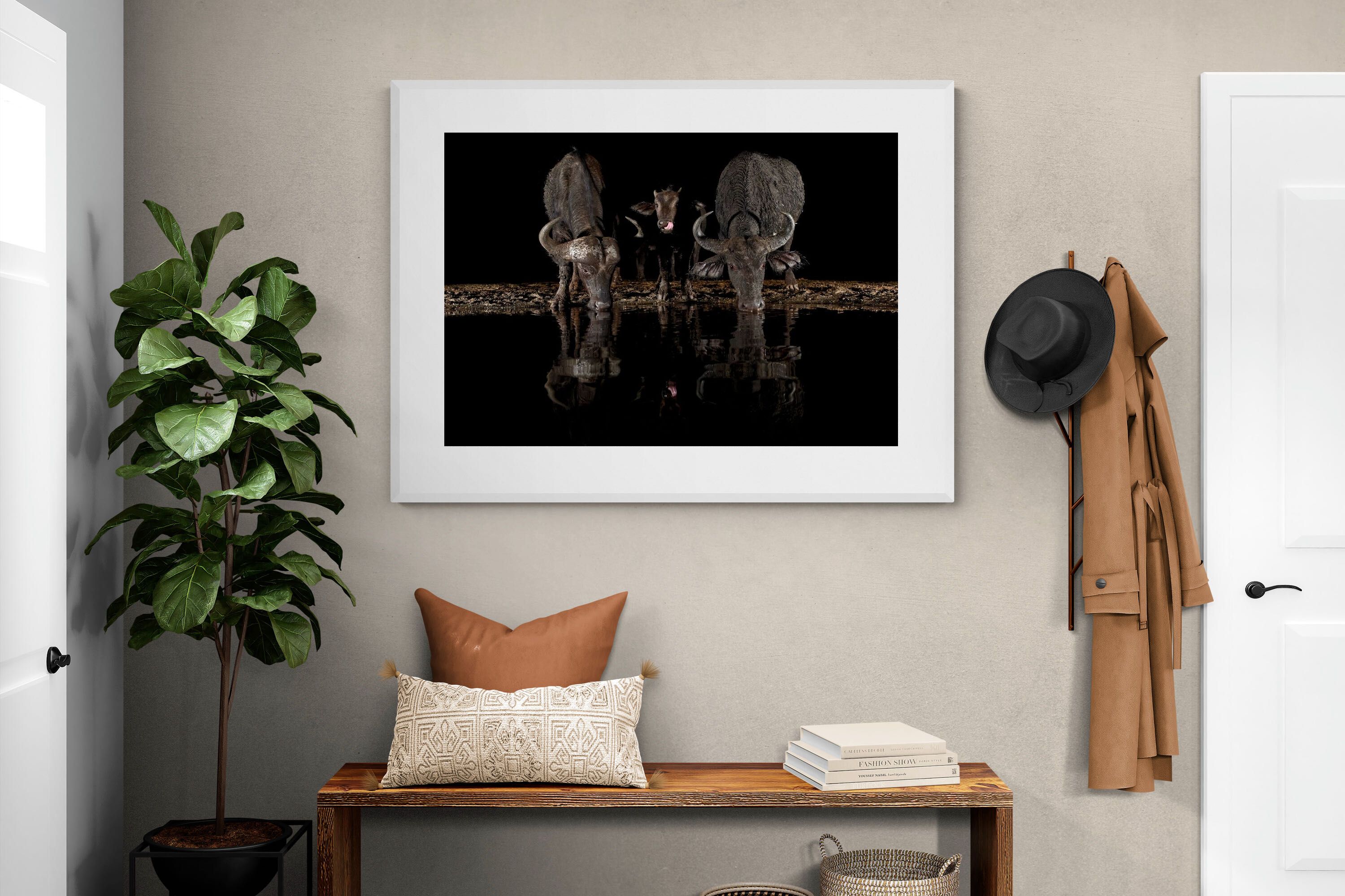 Pixalot Buffalo Family