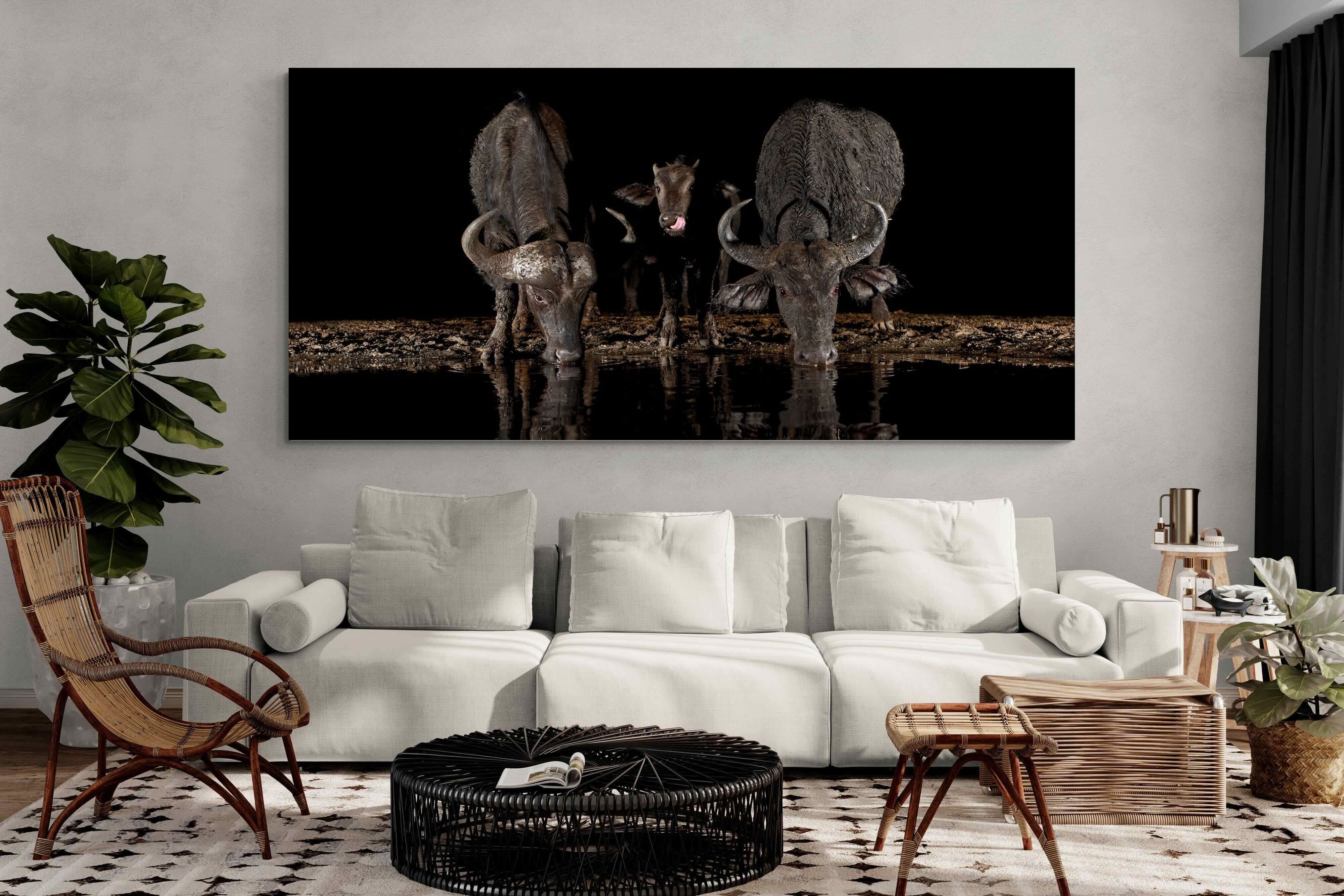 Pixalot Buffalo Family