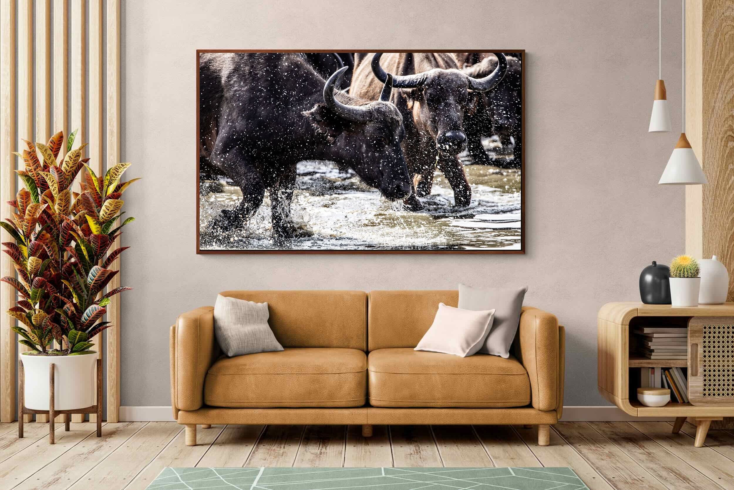 Pixalot Buffalo Splash