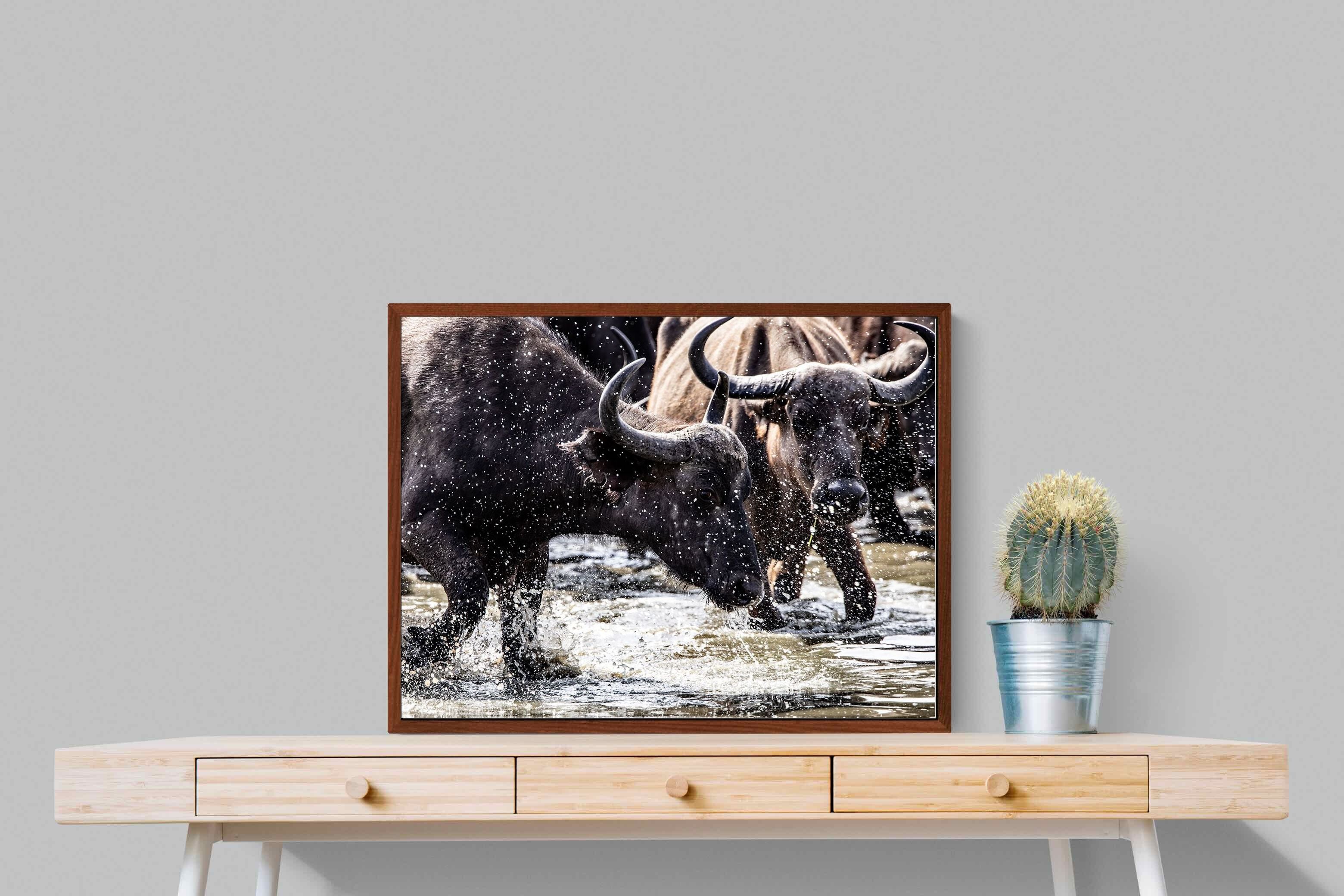 Pixalot Buffalo Splash