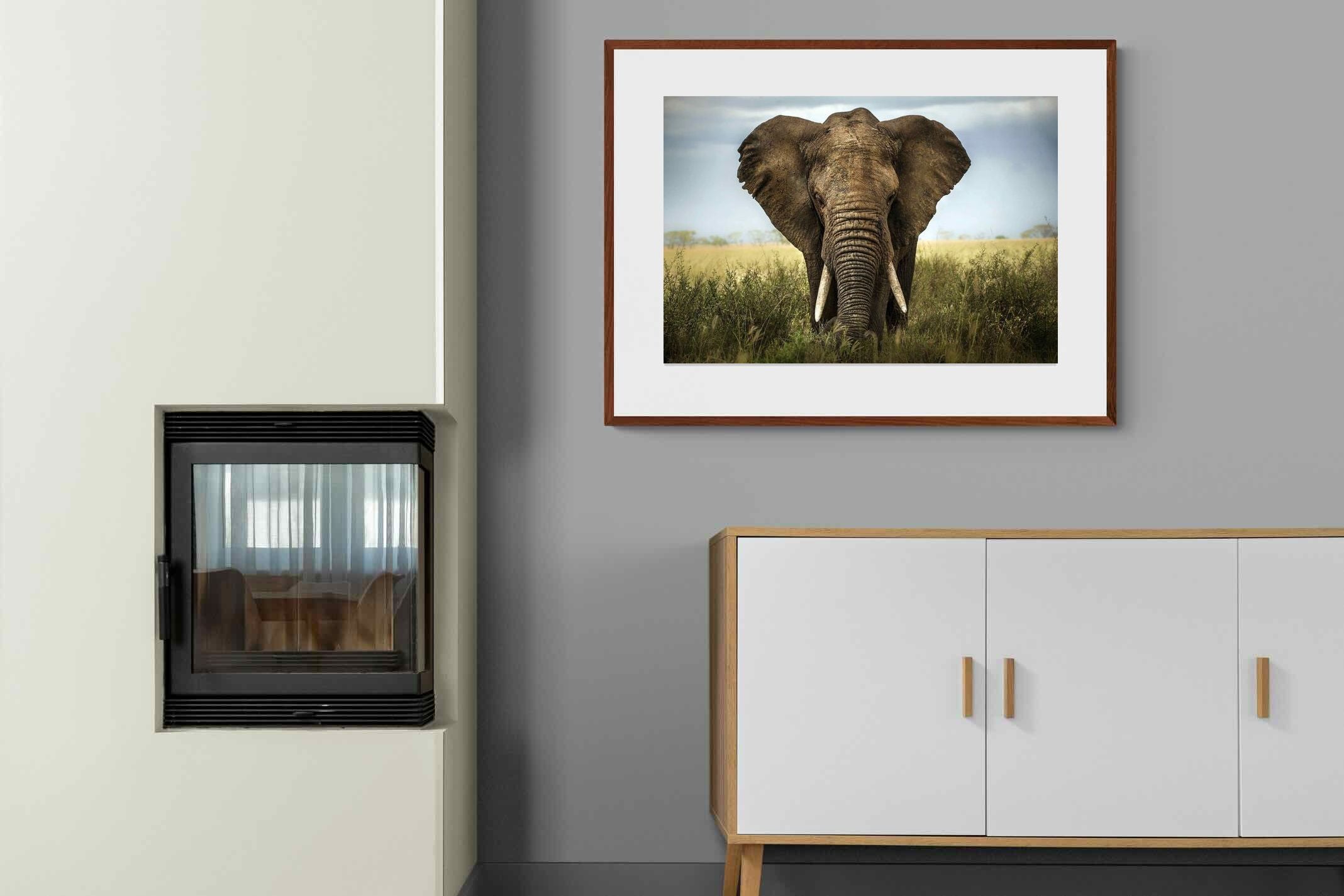 Pixalot ® Bull Elephant