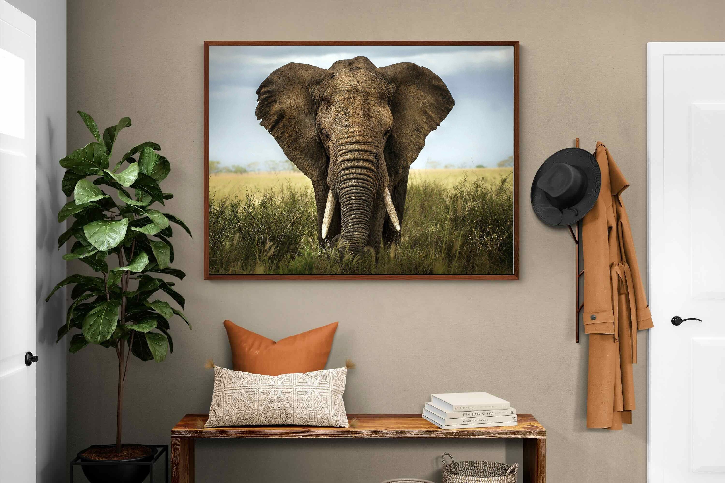 Pixalot ® Bull Elephant