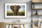 Pixalot ® Bull Elephant