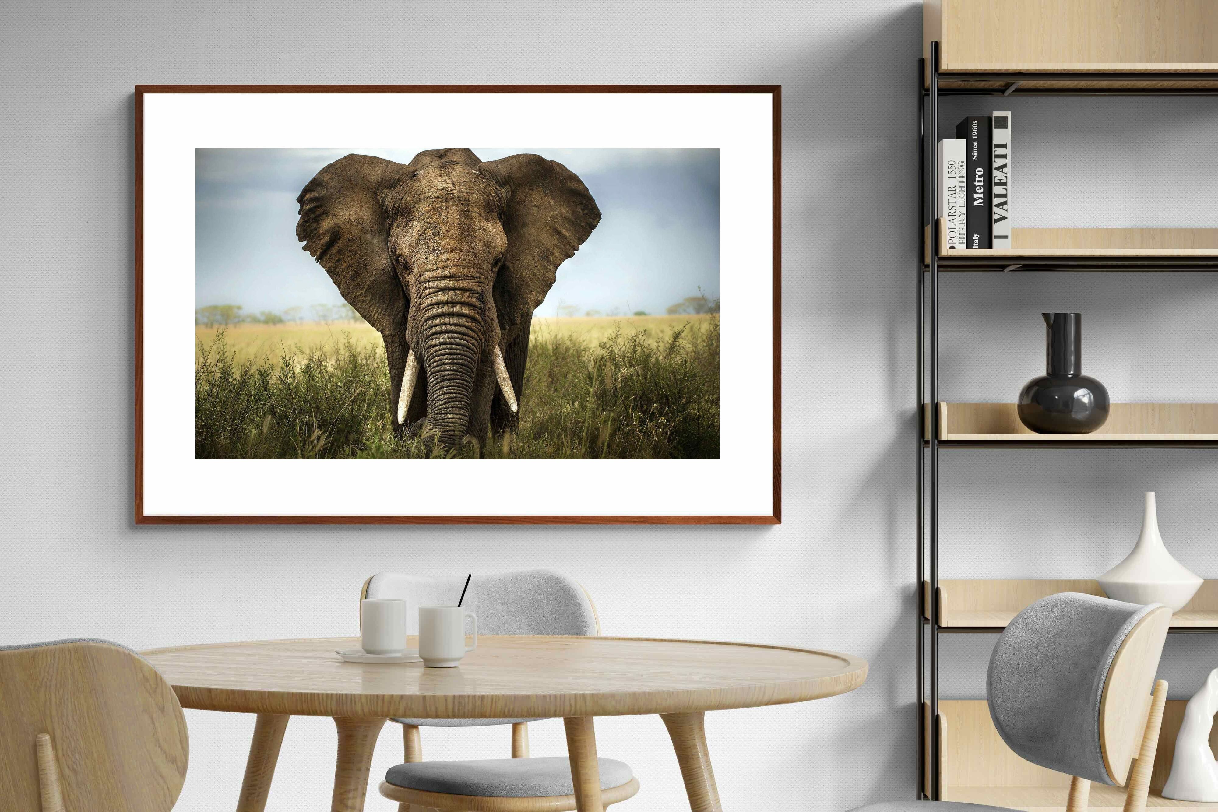 Pixalot ® Bull Elephant