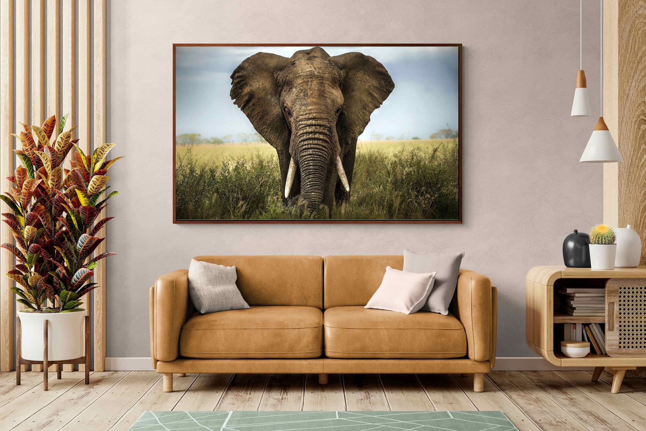 Pixalot ® Bull Elephant