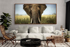 Pixalot ® Bull Elephant