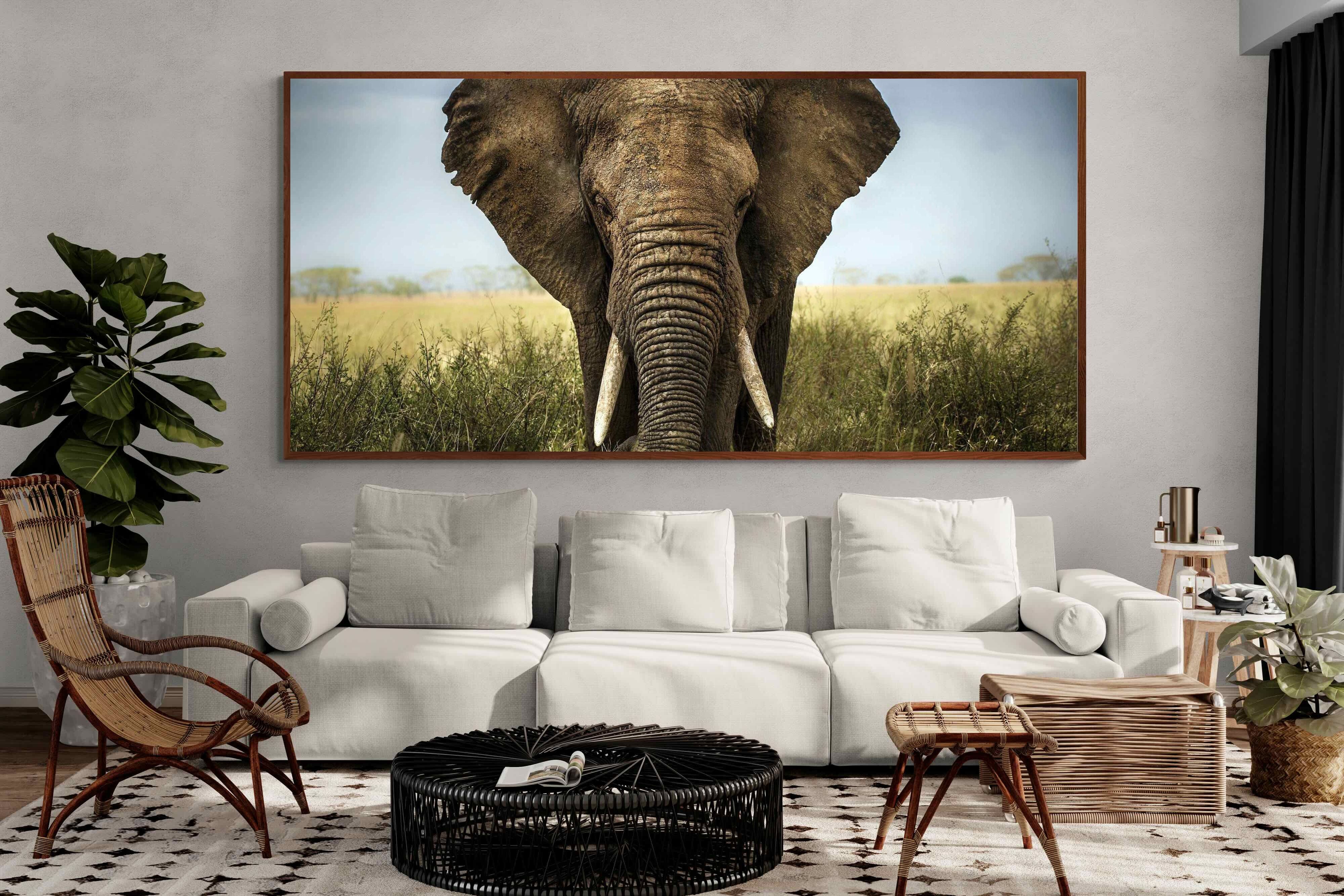 Pixalot ® Bull Elephant