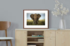 Pixalot ® Bull Elephant