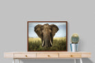 Pixalot ® Bull Elephant