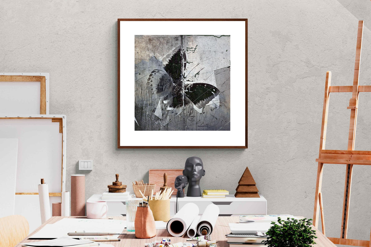 Pixalot ® Butterfly Art
