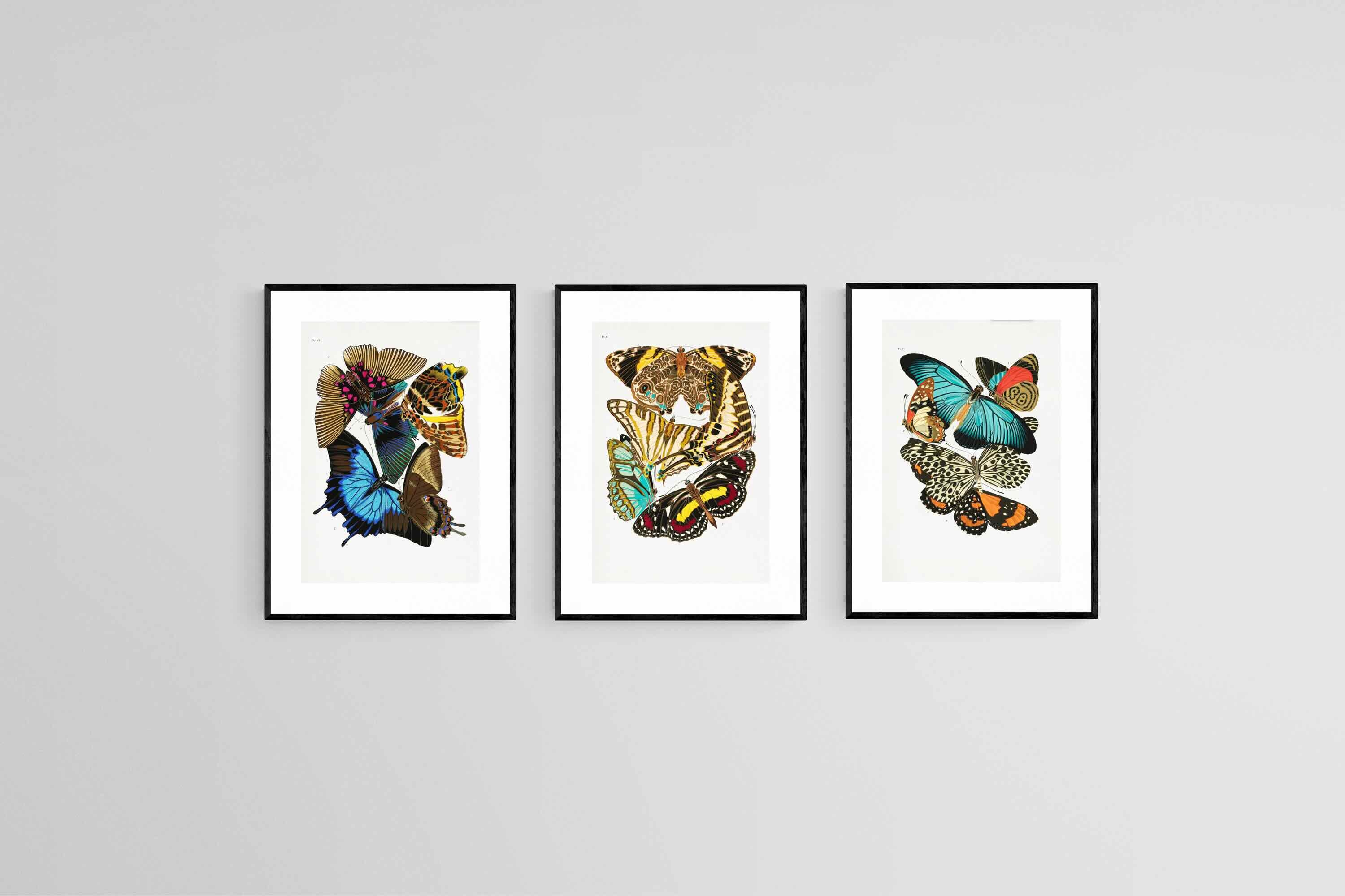 Butterfly Collage Set-Wall_Art-45 x 60cm (x3)-Framed Print-Black-Pixalot