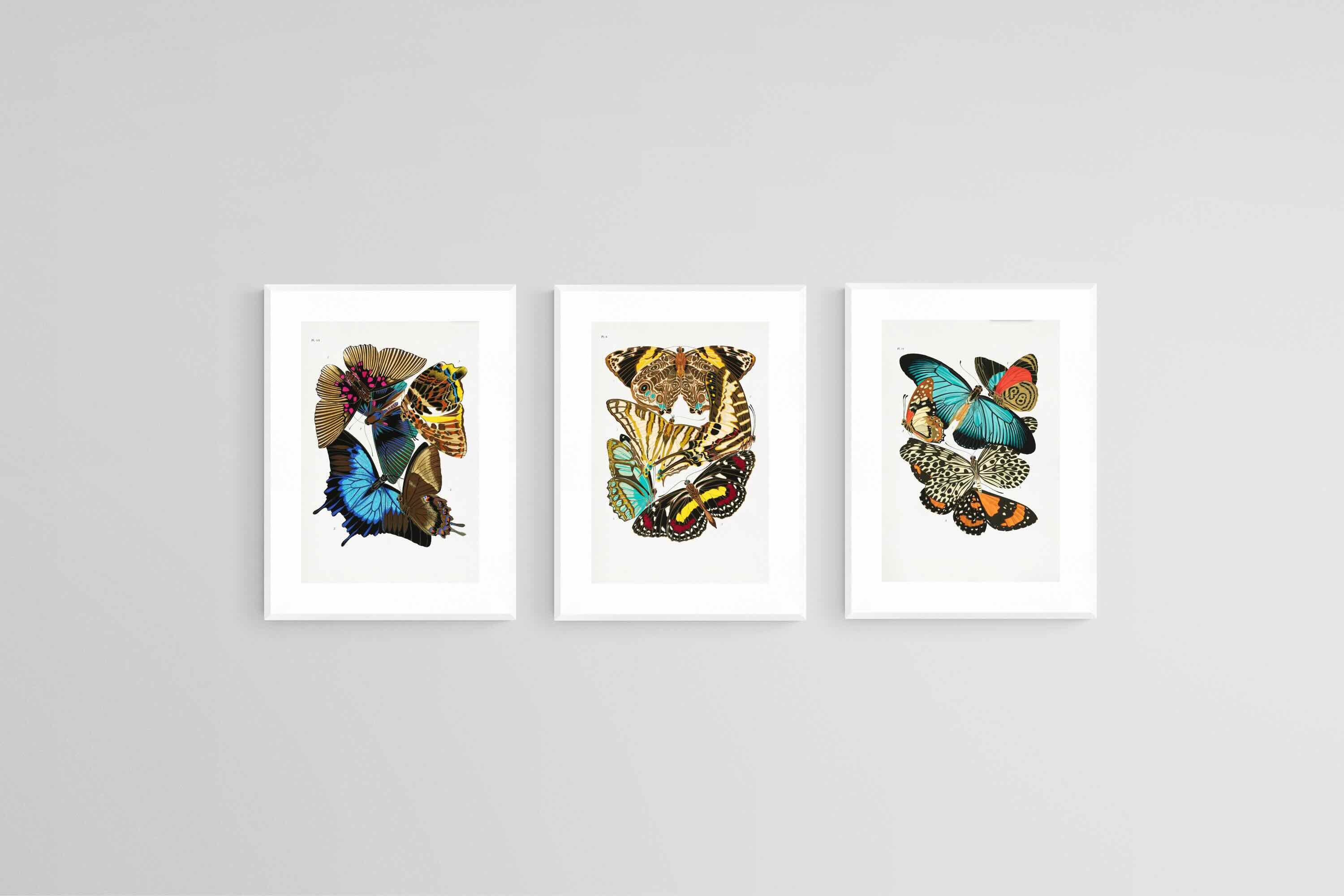 Butterfly Collage Set-Wall_Art-45 x 60cm (x3)-Framed Print-White-Pixalot