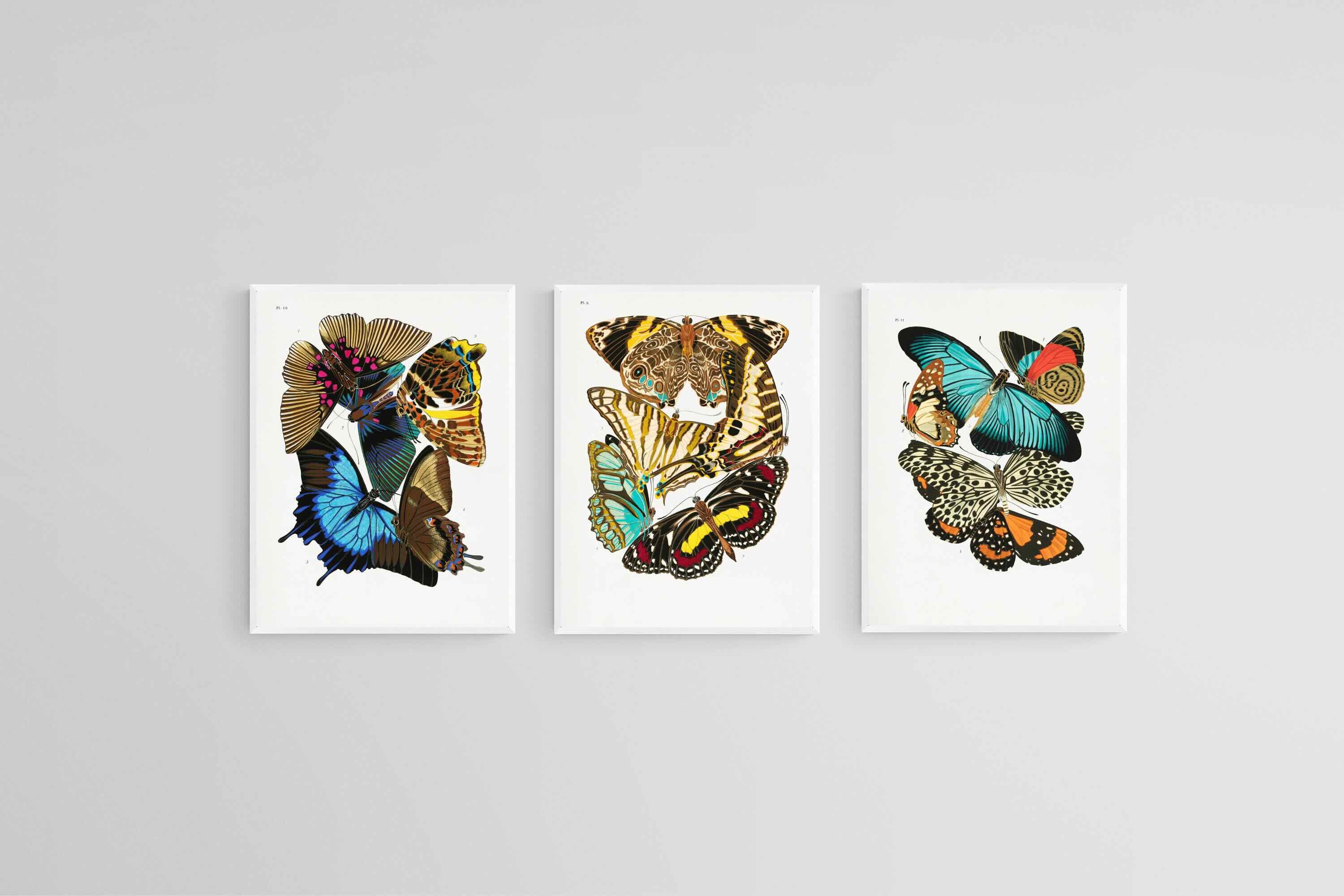 Butterfly Collage Set-Wall_Art-45 x 60cm (x3)-Mounted Canvas-White-Pixalot