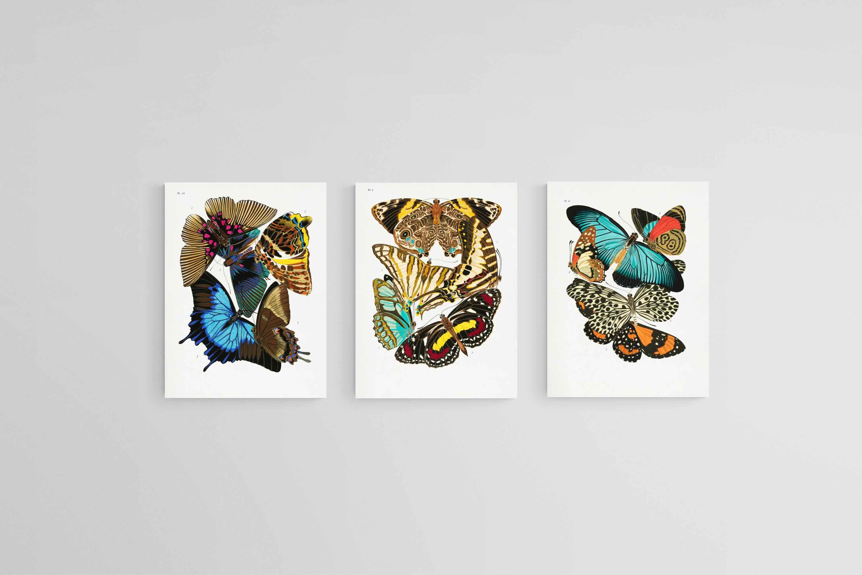 Butterfly Collage Set-Wall_Art-45 x 60cm (x3)-Mounted Canvas-No Frame-Pixalot