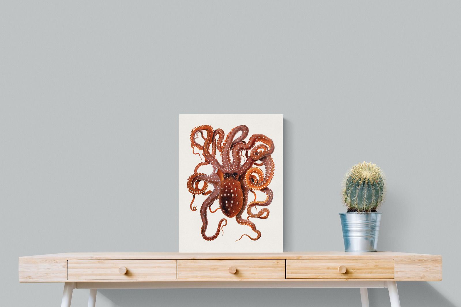 Pixalot Callistoctopus Macropus