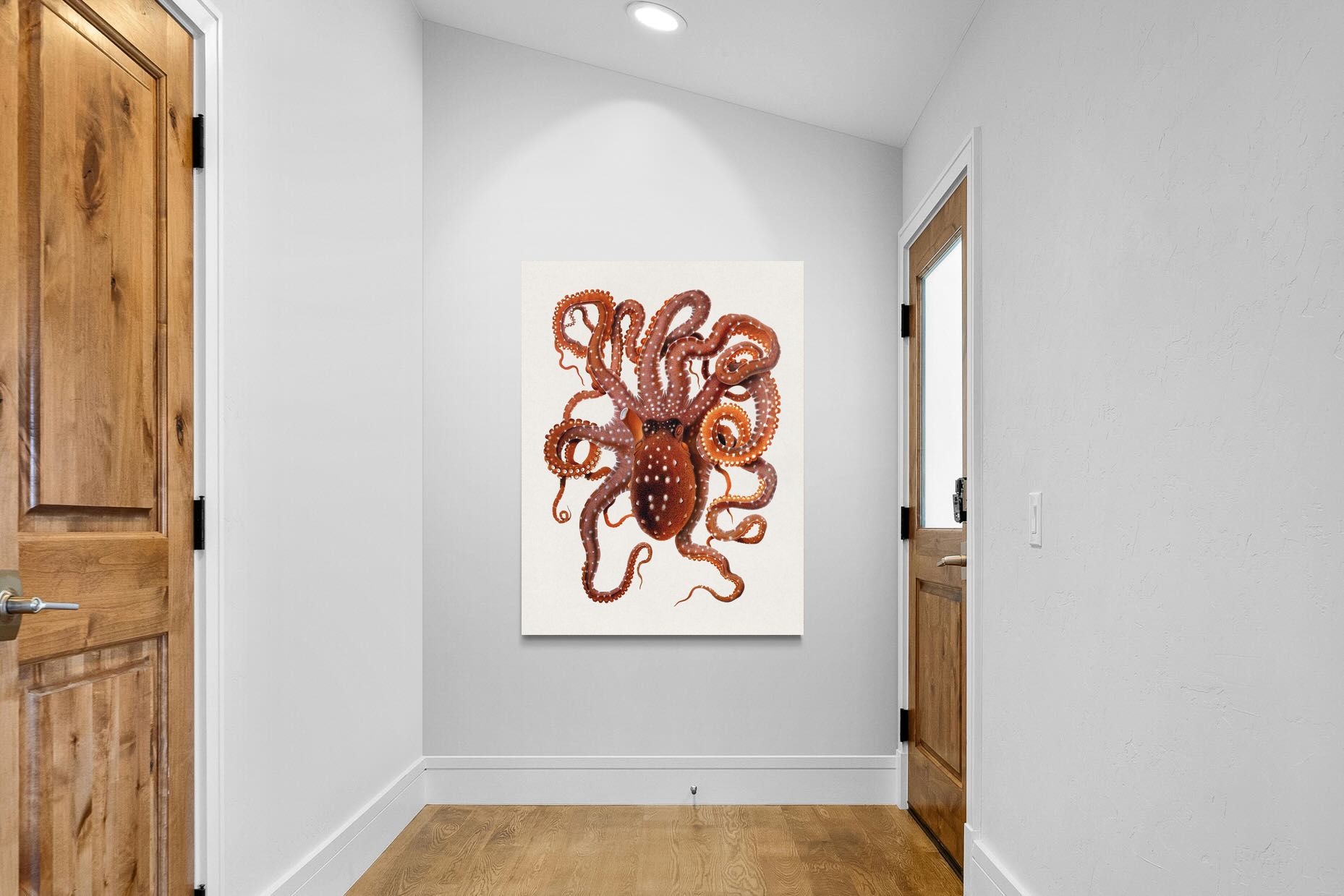 Pixalot Callistoctopus Macropus