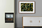 Pixalot ® Canadale Gold
