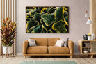 Pixalot ® Canadale Gold
