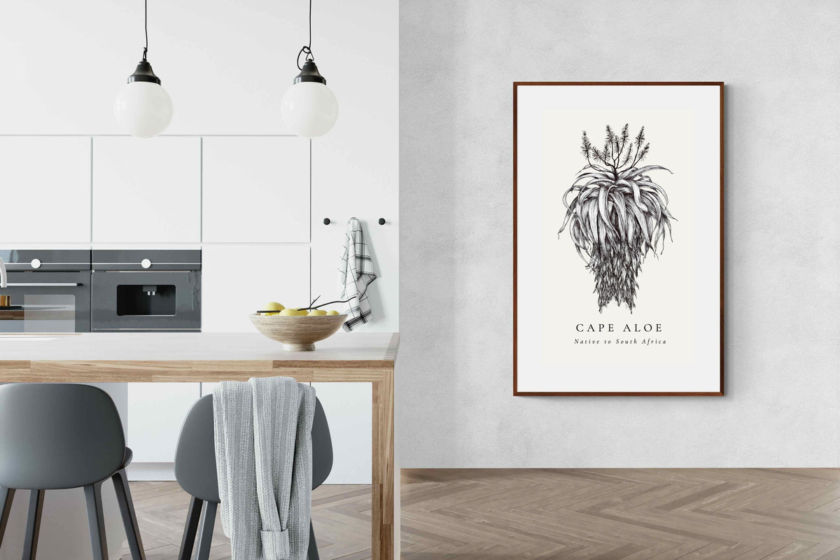 Pixalot ® Cape Aloe Illustration